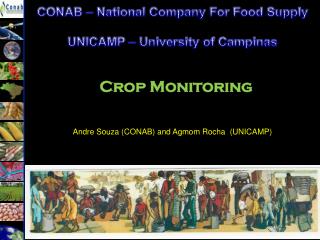 Crop Monitoring