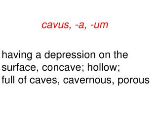 cavus, -a, -um