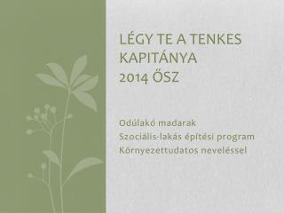 Légy Te a Tenkes Kapitánya 2014 ősz