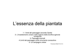 L’essenza della piantata