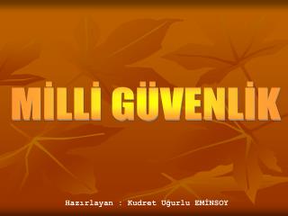 MİLLİ GÜVENLİK