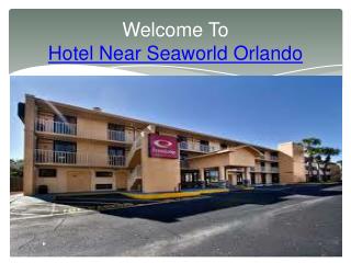 Hotel Near Seaworld Orlando