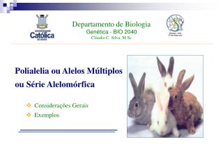 Departamento de Biologia Genética - BIO 2040 Cláudio C. Silva, M.Sc