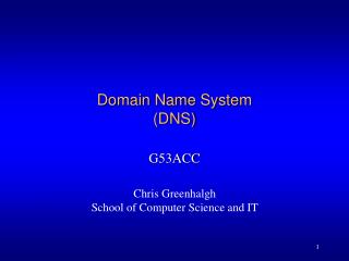 Domain Name System (DNS)