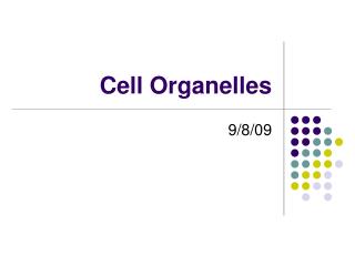 Cell Organelles