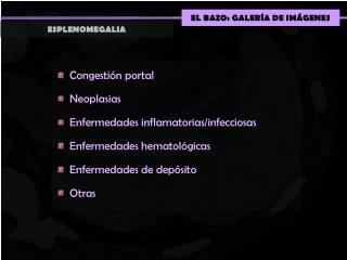 EL BAZO: GALERÍA DE IMÁGENES