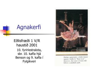 Agnakerfi