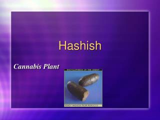 Hashish