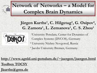 Network of Networks – a Model for Complex Brain Dynamics