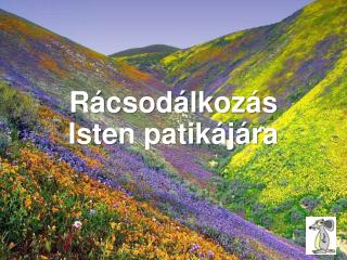 Rácsodálkozás Isten patikájára