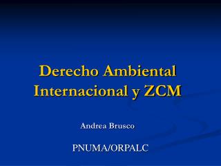 Derecho Ambiental Internacional y ZCM Andrea Brusco