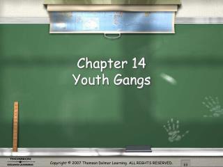 Chapter 14 Youth Gangs