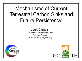 Mechanisms of Current Terrestrial Carbon Sinks and Future Persistency 