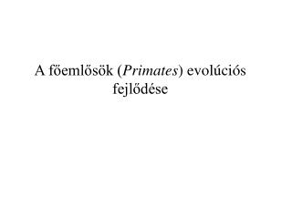 A főemlősök ( Primates ) evolúciós fejlődése