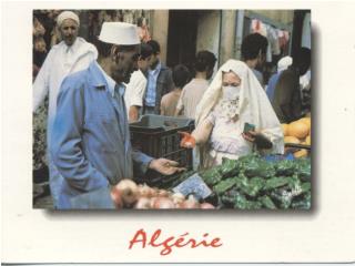 Algiers