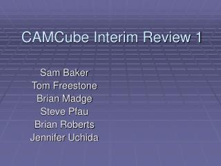 CAMCube Interim Review 1