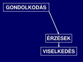 VISELKEDÉS