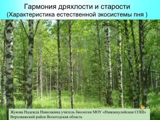 Гармония дряхлости и старости ( Характеристика естественной экосистемы пня )