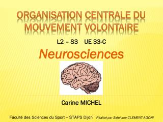 Organisation centrale du mouvement volontaire