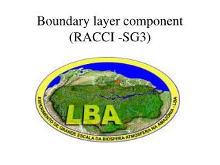 Boundary layer component (RACCI -SG3)