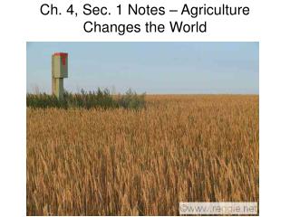 Ch. 4, Sec. 1 Notes – Agriculture Changes the World