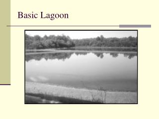 Basic Lagoon