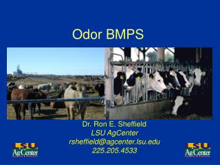Odor BMPS