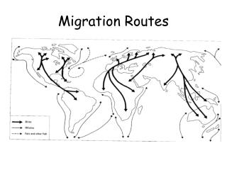 Migration Routes
