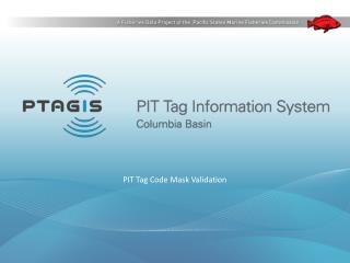 PIT Tag Code Mask Validation