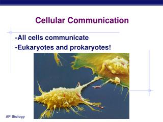 Cellular Communication