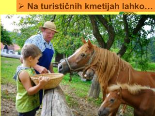 Na turističnih kmetijah lahko…