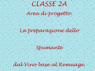 CLASSE 2A Area di progetto: La preparazione dello Spumante dal Vino base al Remuage.