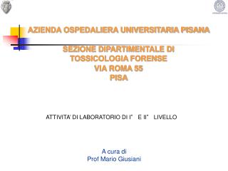 A cura di Prof Mario Giusiani