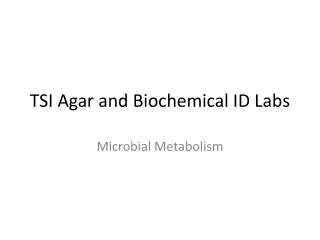 TSI Agar and Biochemical ID Labs