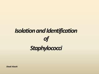 Isolation and Identification of Staphylococci