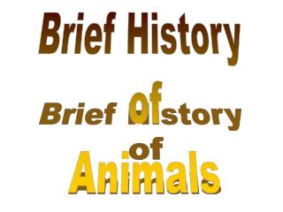 Brief History of Animals