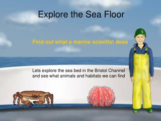 Explore the Sea Floor