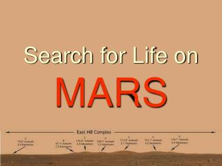 Search for Life on MARS