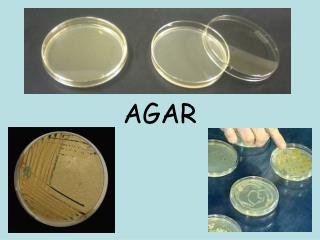 AGAR