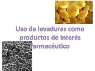 Uso de levaduras como productos de interés farmacéutico