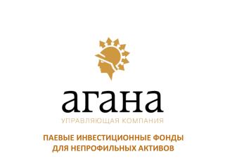 ПАЕВЫЕ ИНВЕСТИЦИОННЫЕ ФОНДЫ ДЛЯ НЕПРОФИЛЬНЫХ АКТИВОВ