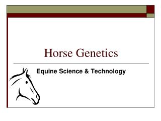 Horse Genetics