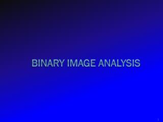 Binary Image Analysis