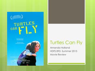 Turtles Can Fly