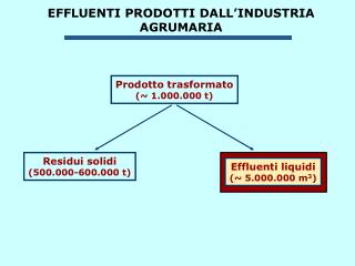 EFFLUENTI PRODOTTI DALL’INDUSTRIA AGRUMARIA