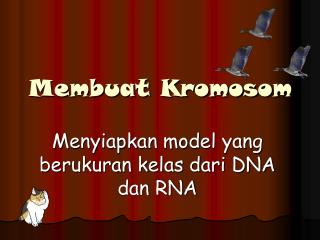 Membuat Kromosom