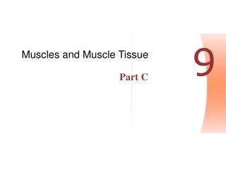 Muscles and Muscle Tissue