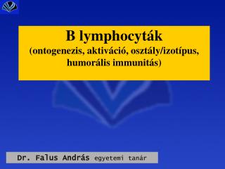 B lymphocyták (ontogenezis, aktiváció, osztály/izotípus, humorális immunitás)