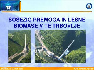 SOSEŽIG PREMOGA IN LESNE BIOMASE V TE TRBOVLJE
