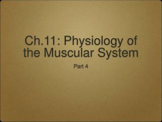 Ch.11: Physiology of the Muscular System